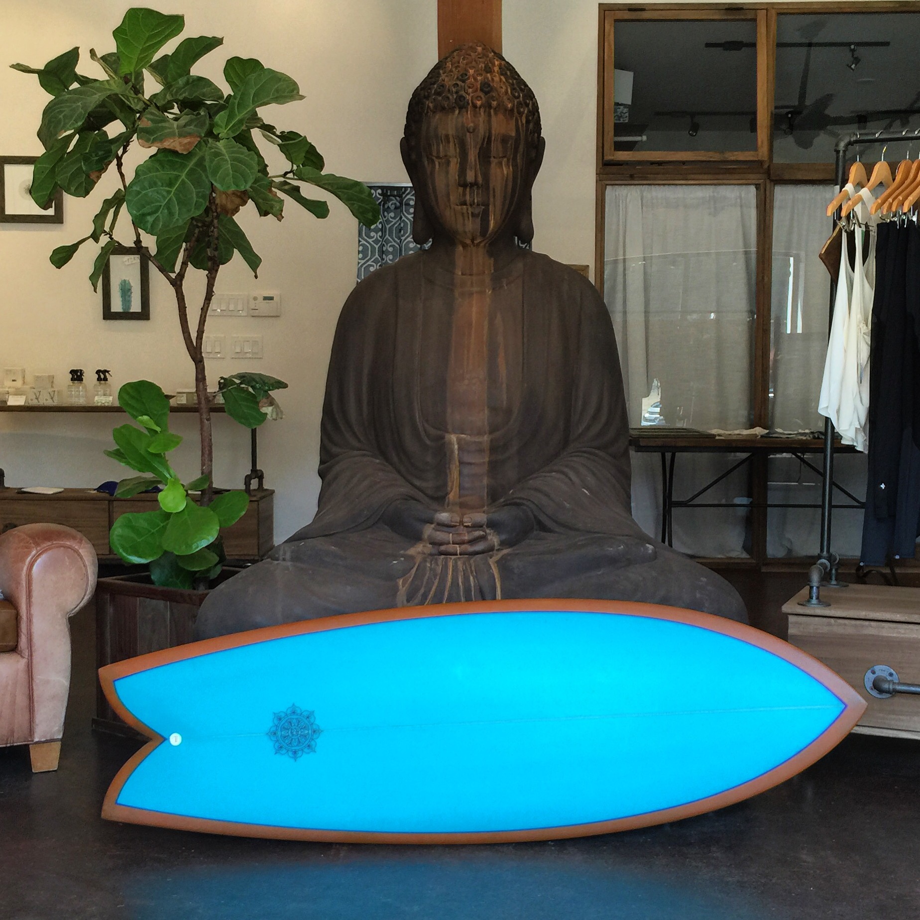 Surfy Hanel Buddha Fish 