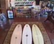 Slingerland/Surfy California Classic 
