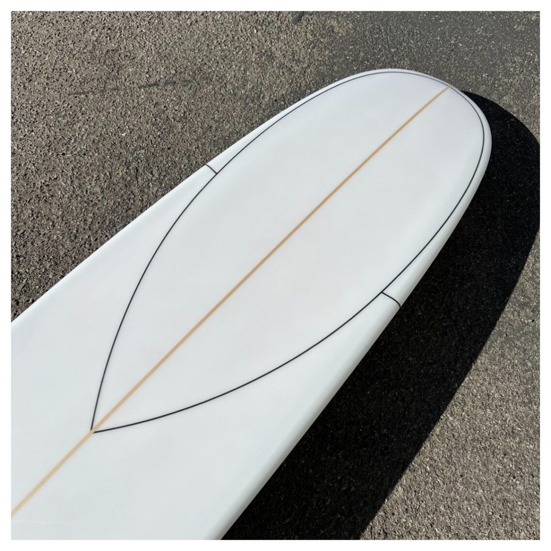 Surfy Surfy – Enter the Surfy’verse…